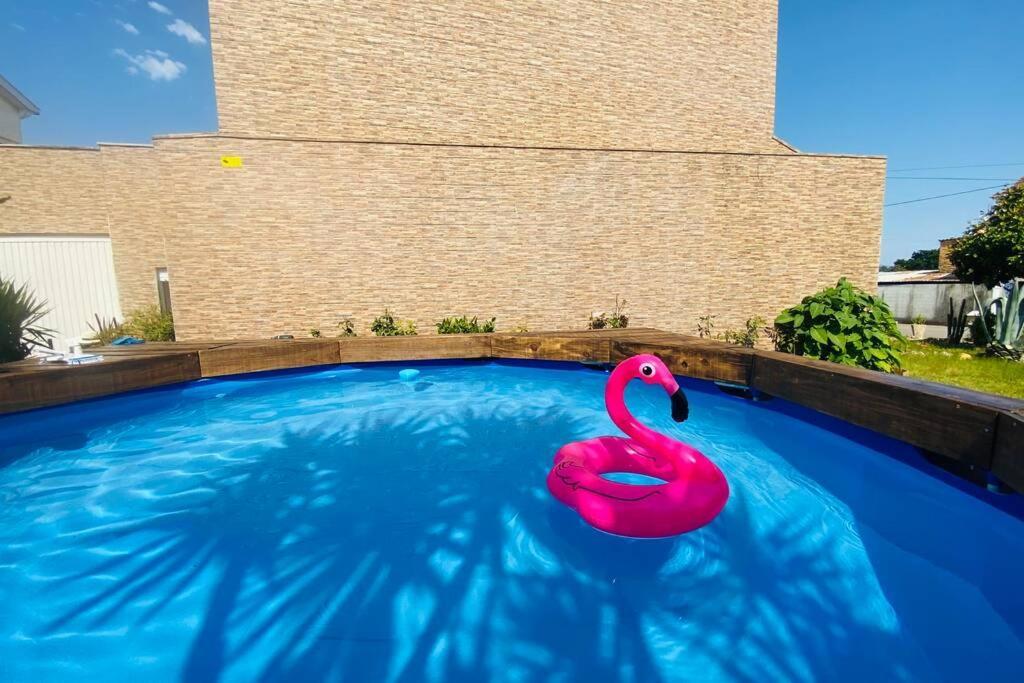 Апартаменты Casa Petroleiro Албергария-а-Велья Экстерьер фото